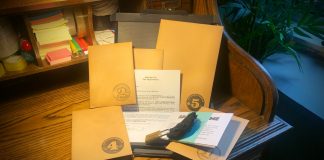 The Distraction Agents Game Review Distraction Agents