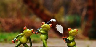 Enjoy the Outdoors Outdoors