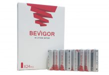 Bevigor Disposable AA Lithium Batteries Review Bevigor Batteries